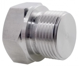 Stainless Steel Blanking Plug Hex Head Lb Bspp Welcome To