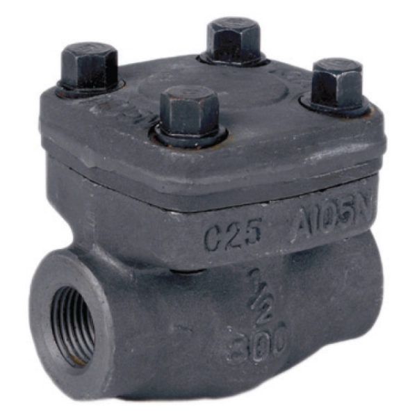 Swing Check Valve, Forged Steel, 800LB NPT