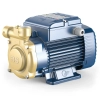 Pedrollo PQ BS Peripheral Pump