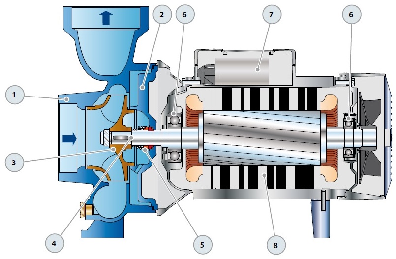 Pedrollo HF High Flow Centrifugal Pump - Oilybits UK, The Oil, Water ...