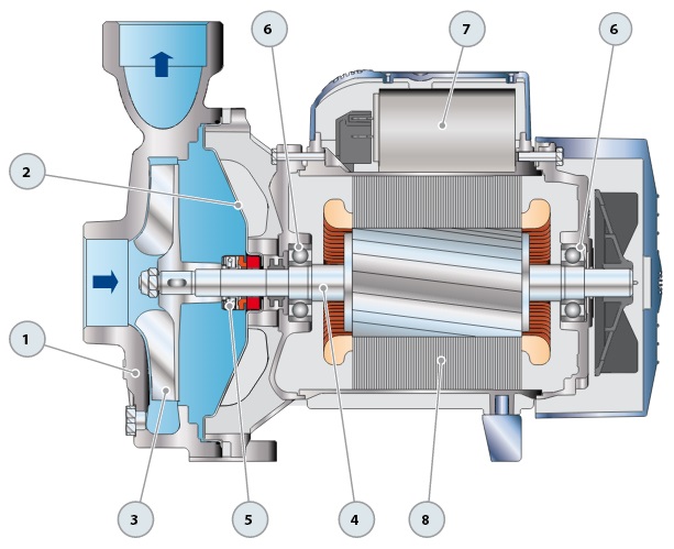 Pedrollo NGA-PRO Open Impeller 316 Stainless Steel Centrifugal Pump ...